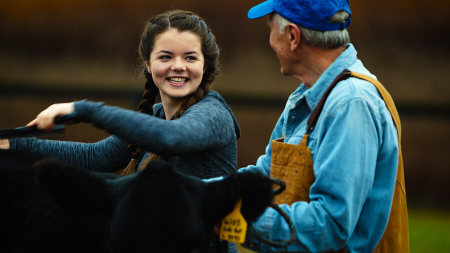 AVMA Life ad campaign actors brush a cow on a farm shot by cinematographer Jason Kraynek